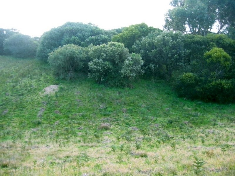 6 MERKANI AVENUE, Venus Bay VIC 3956