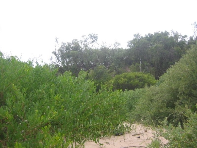 63 Louis Road, Venus Bay VIC 3956