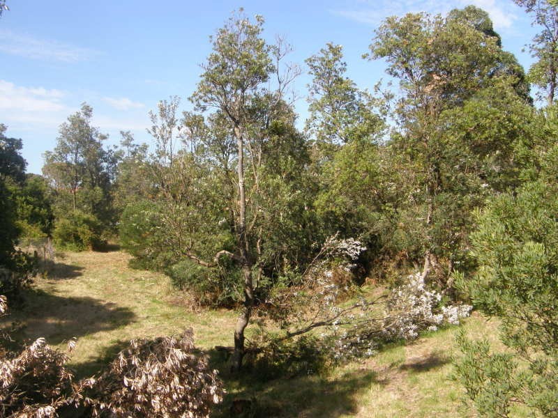 7 Noble, Venus Bay VIC 3956