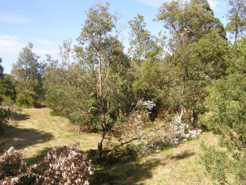 7 Noble, Venus Bay VIC 3956