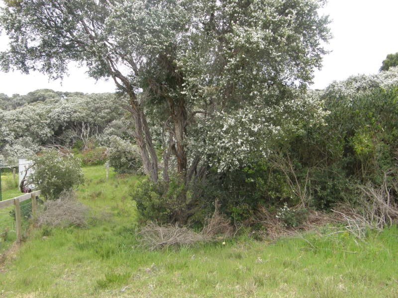 33 Canterbury Road, Venus Bay VIC 3956