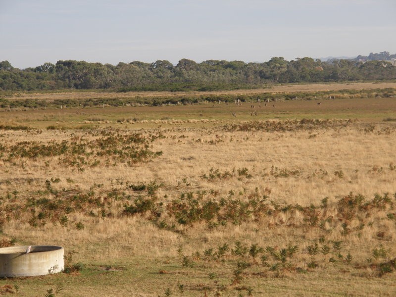 101 Fishermans Road, Venus Bay VIC 3956