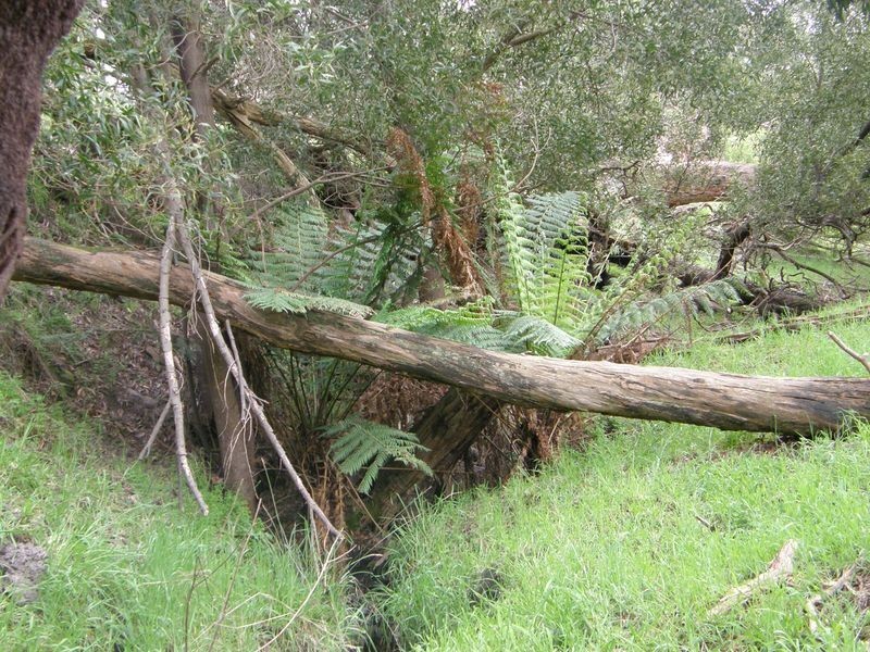 Arbuthnots Road, Tarwin Lower VIC 3956
