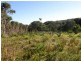 10 Rena Court, Venus Bay VIC 3956