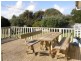 61 JUPITER BLVD, Venus Bay VIC 3956
