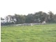 30 Meadows Road, Tarwin Lower VIC 3956
