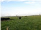 30 Meadows Road, Tarwin Lower VIC 3956