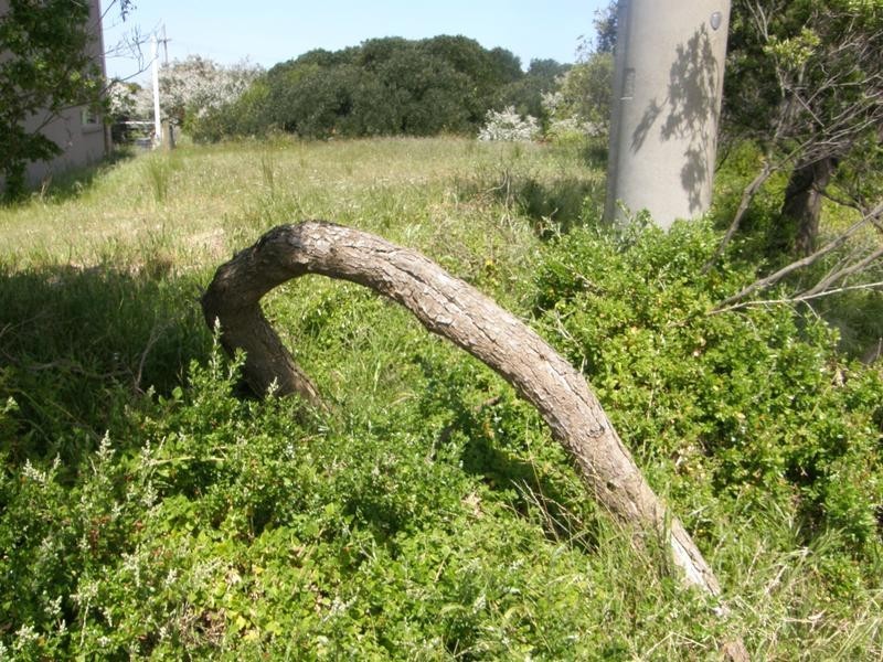 8 RODNEY AVENUE, Venus Bay VIC 3956