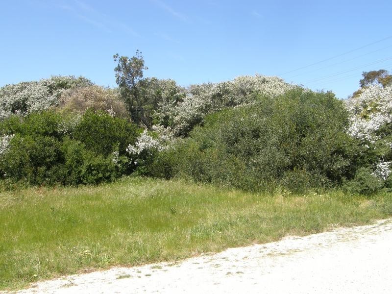 76 CANTERBURY ROAD, Venus Bay VIC 3956