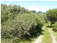 27 LOUIS ROAD, Venus Bay VIC 3956