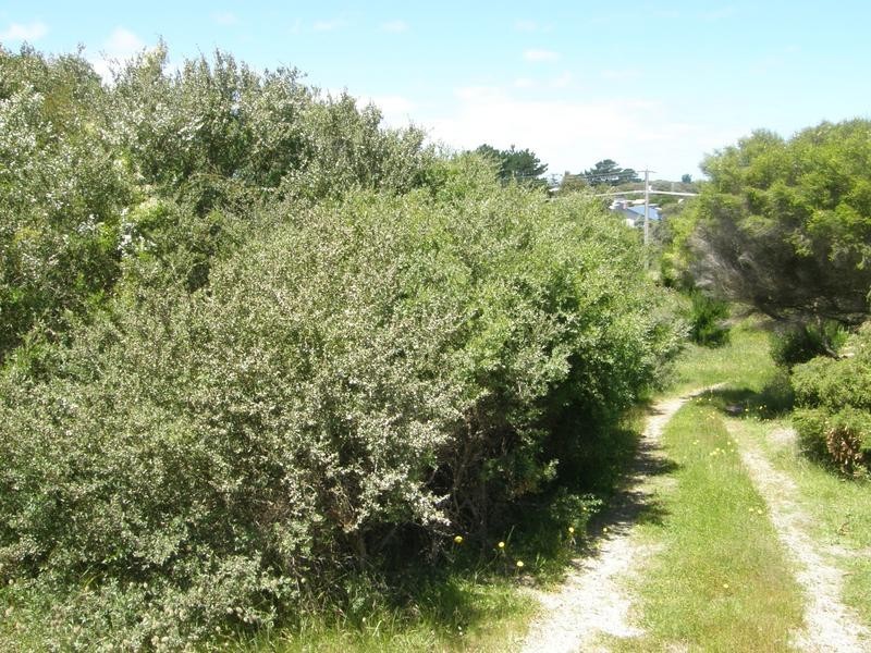 27 LOUIS ROAD, Venus Bay VIC 3956