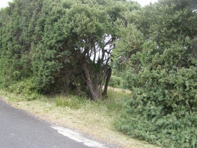 33 Atherton Drive, Venus Bay VIC 3956