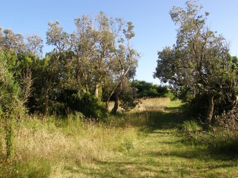 21 CANTOR DRIVE, Venus Bay VIC 3956