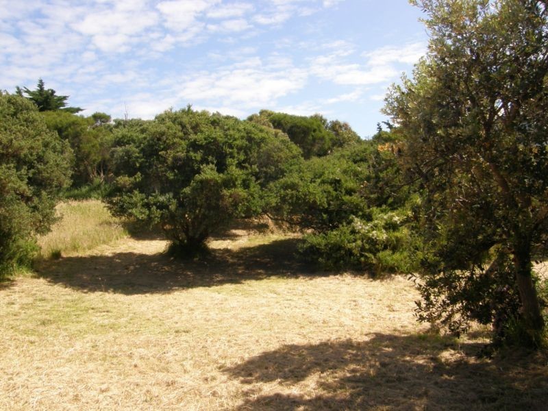 239 LEES ROAD, Venus Bay VIC 3956