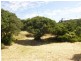 239 LEES ROAD, Venus Bay VIC 3956