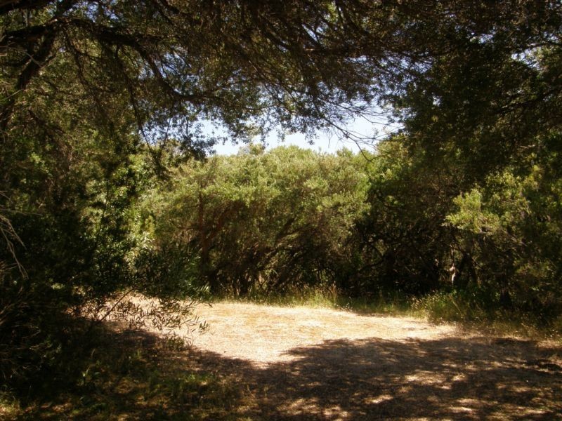 111 ATHERTON DRIVE, Venus Bay VIC 3956