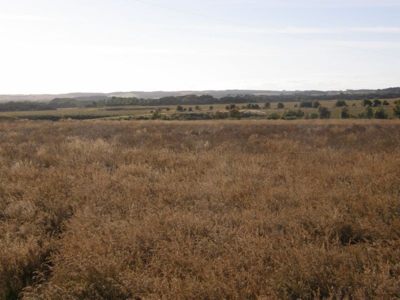 86 KINGS FLAT ROAD, Walkerville VIC 3956