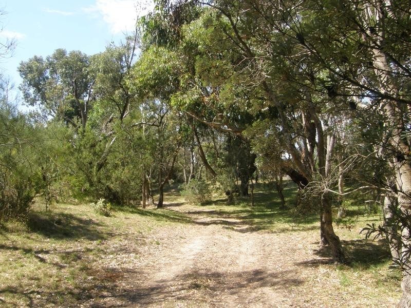 814 LEES ROAD, Venus Bay VIC 3956