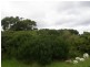 205 LEES ROAD, Venus Bay VIC 3956
