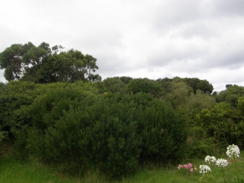 205 LEES ROAD, Venus Bay VIC 3956