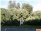 99 JUPITER BOULEVARD, Venus Bay VIC 3956