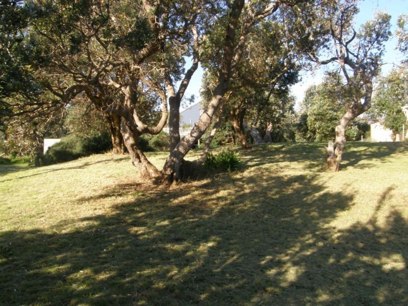 4 WEBSTER AVENUE, Venus Bay VIC 3956