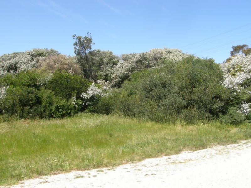 76 CANTERBURY ROAD, Venus Bay VIC 3956