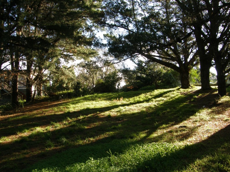 677 LEES ROAD, Venus Bay VIC 3956