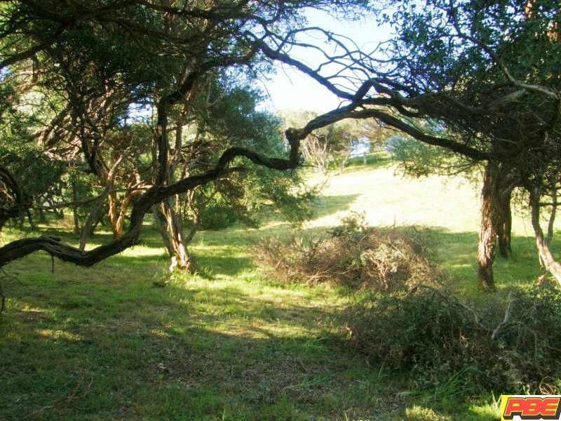 79 INLETVIEW ROAD, Venus Bay VIC 3956