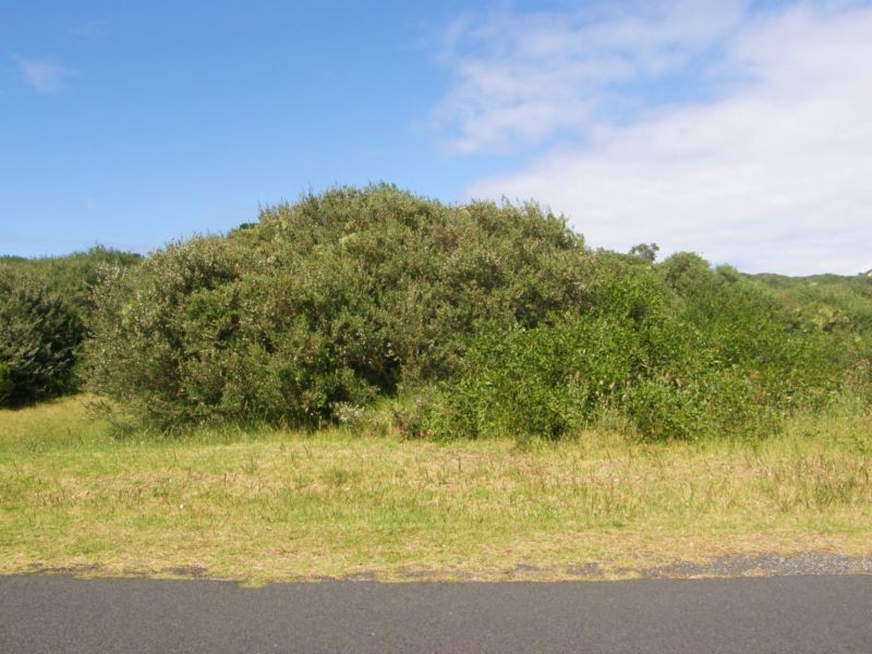 255 LEES ROAD – 1ST ESTATE, Venus Bay VIC 3956
