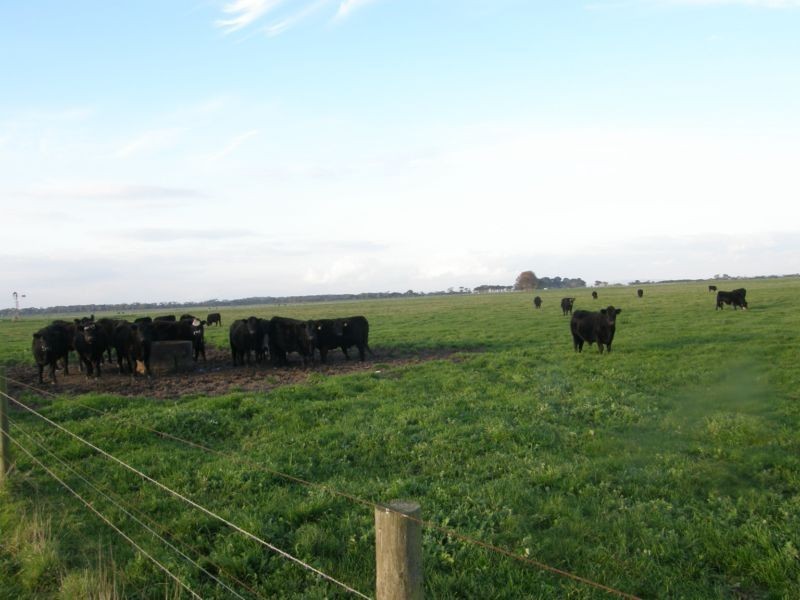 30 MEADOWS ROAD, Tarwin Lower VIC 3956