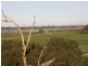 ARBUTHNOTS ROAD, Tarwin Lower VIC 3956