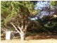 53 ALFRED CRESCENT, Venus Bay VIC 3956