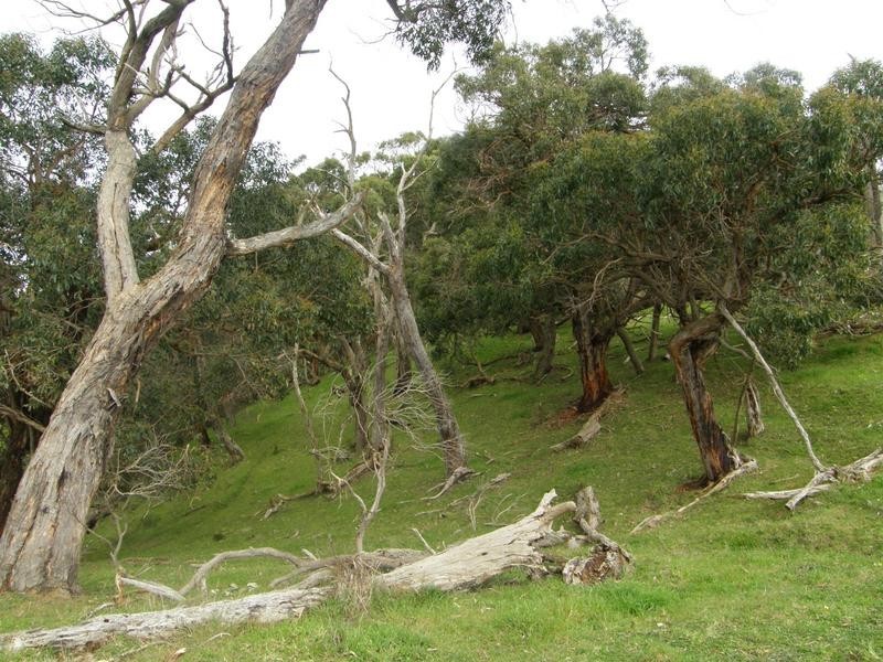 LOT 2 ARBUTHNOTS ROAD, Tarwin Lower VIC 3956