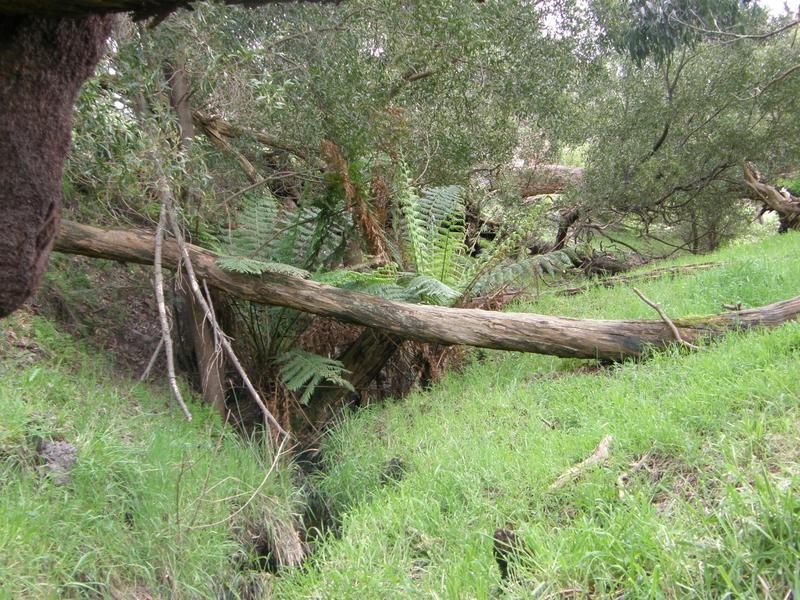 LOT 2 ARBUTHNOTS ROAD, Tarwin Lower VIC 3956