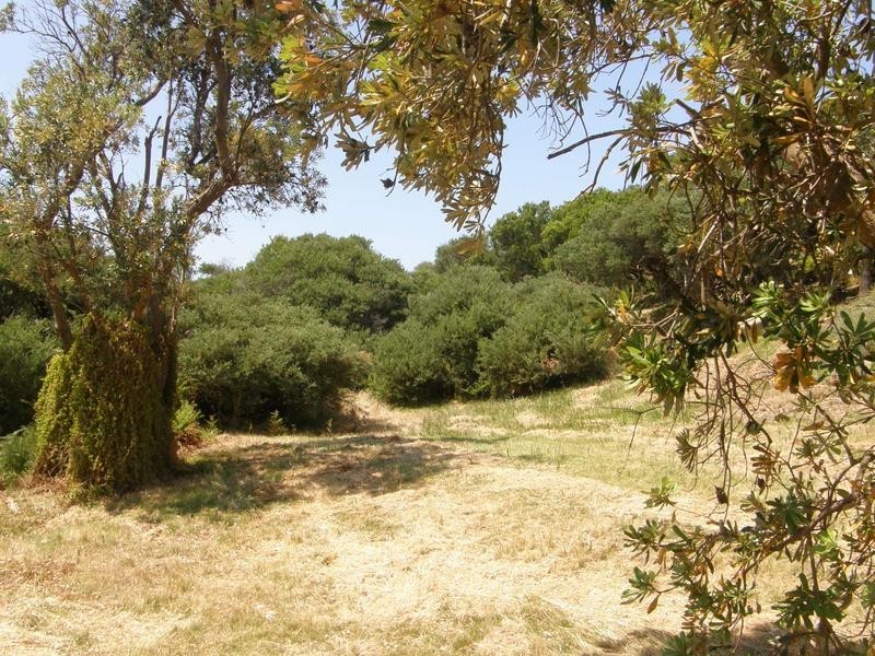 39 ST. IVES CRESCENT – 2ND ESTATE, Venus Bay VIC 3956