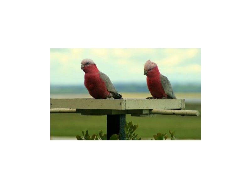 45 LEES ROAD – FIRST ESTATE, Venus Bay VIC 3956