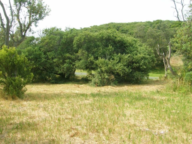 29 ST. IVES CRESCENT, Venus Bay VIC 3956
