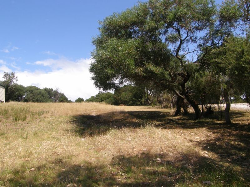 31 BRADLEY AVENUE, Venus Bay VIC 3956