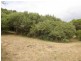 27 LOUIS ROAD – FIRST ESTATE, Venus Bay VIC 3956