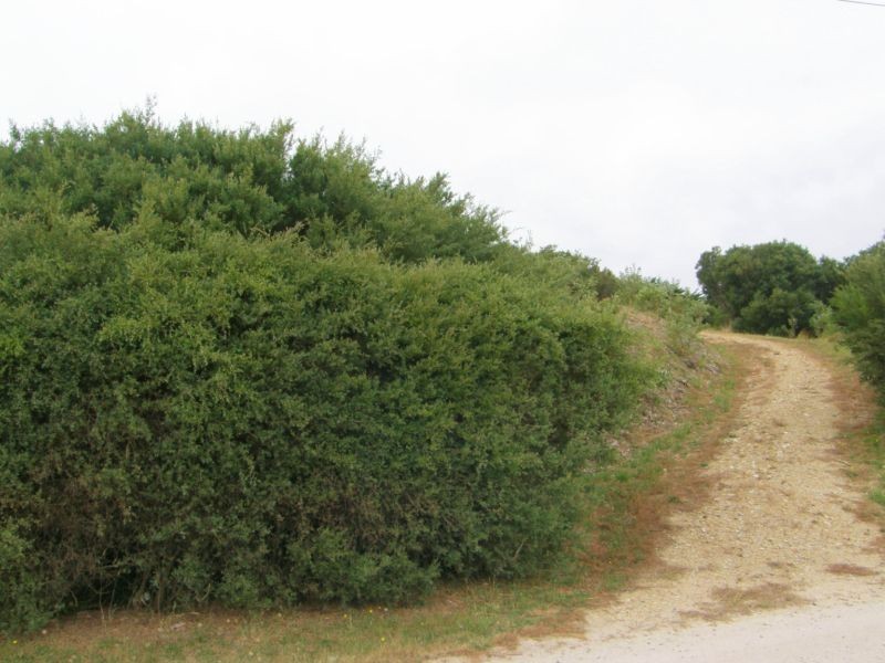 29 LOUIS ROAD, Venus Bay VIC 3956