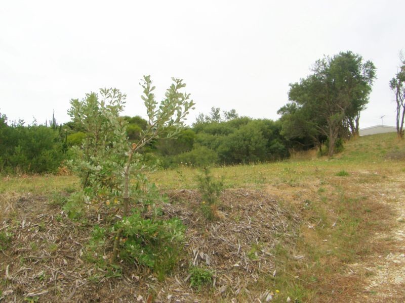 29 LOUIS ROAD, Venus Bay VIC 3956