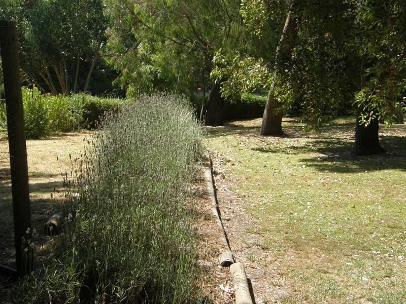 3A WALKERVILLE ROAD, Tarwin Lower VIC 3956