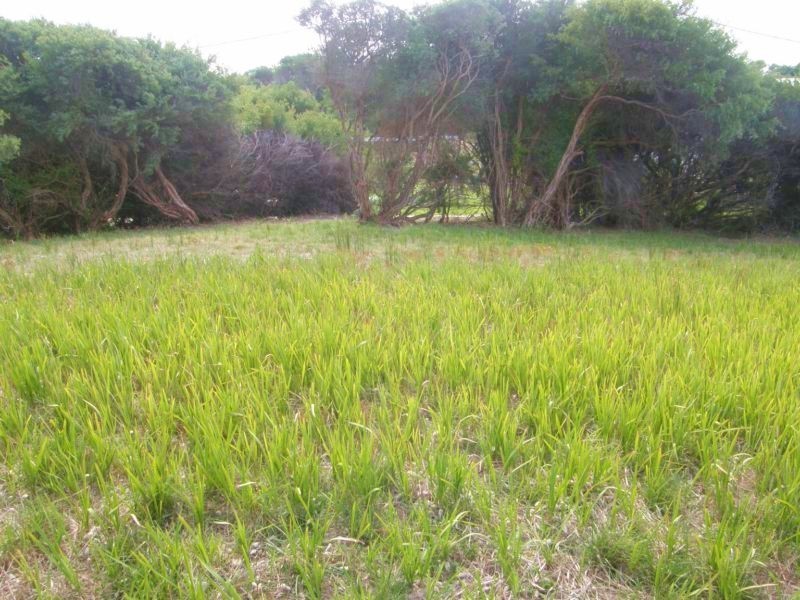 40 BRADLEY AVENUE, Venus Bay VIC 3956