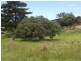 1 SURF DRIVE, Venus Bay VIC 3956