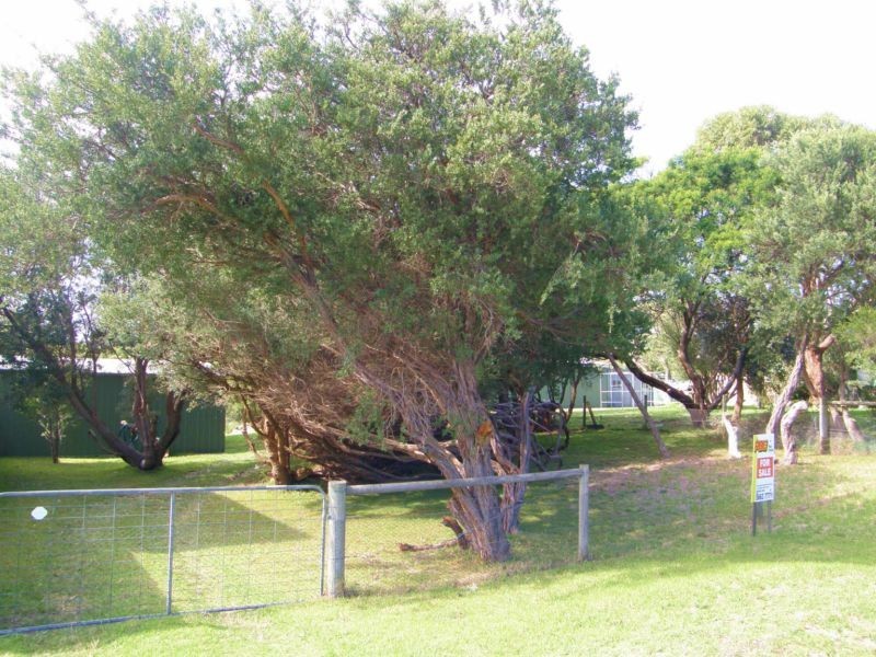 60 MCINDOE AVENUE, Venus Bay VIC 3956