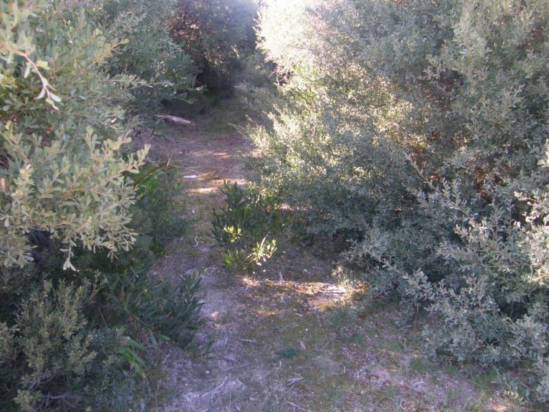 86-88 ATHERTON DRIVE, Venus Bay VIC 3956