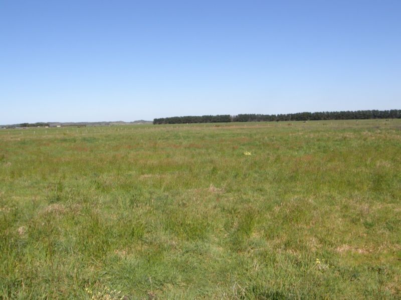 LOT 4 BURROWS ROAD, Tarwin Lower VIC 3956