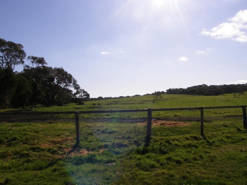 20 ARBUTHNOTTS ROAD, Tarwin Lower VIC 3956