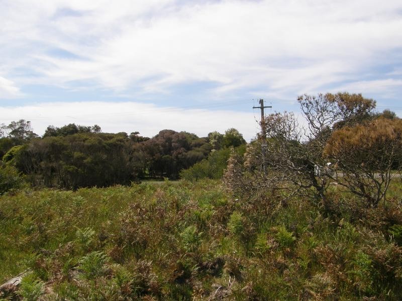 77 GREVILLIA Street, Walkerville VIC 3956